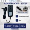 cwt 12v2a