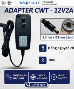 cwt 12v2a