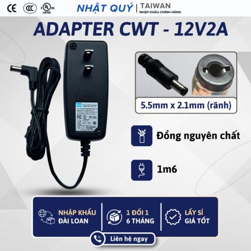 cwt 12v2a