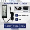 dve 12v3a