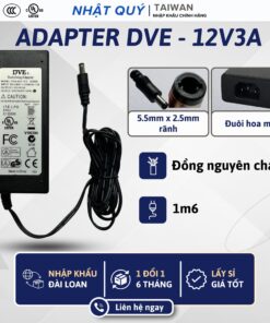 dve 12v3a