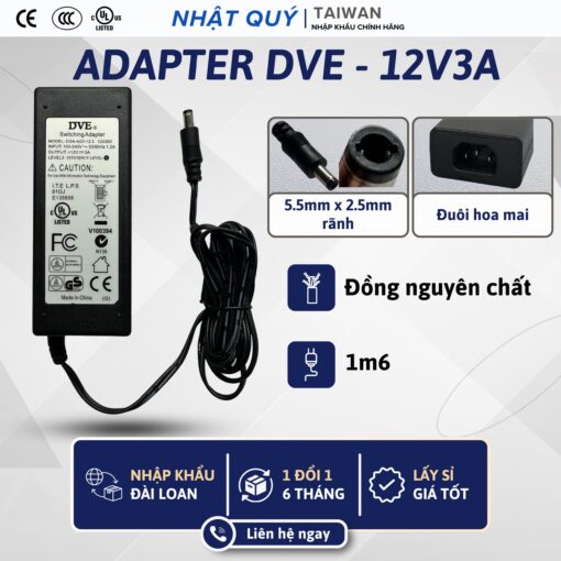 dve 12v3a